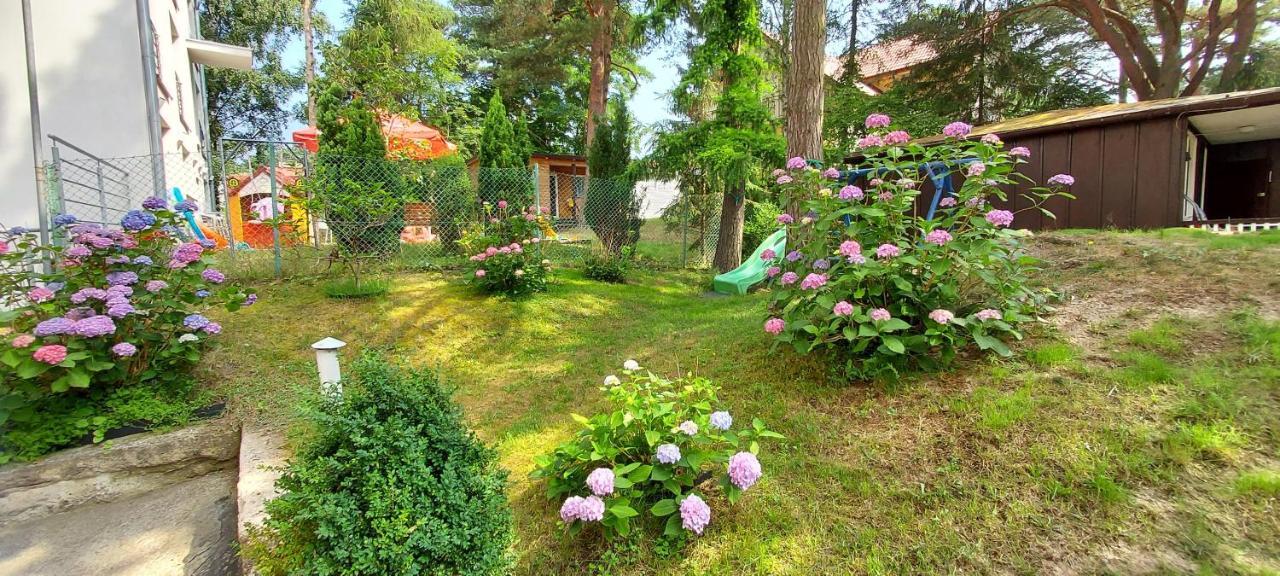 Villa Azalia Ястшембя-Гура Экстерьер фото